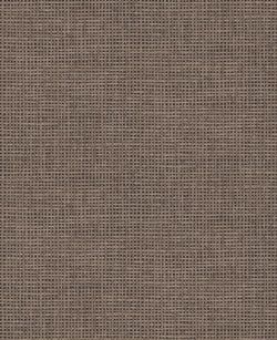 Color – Glastonbury