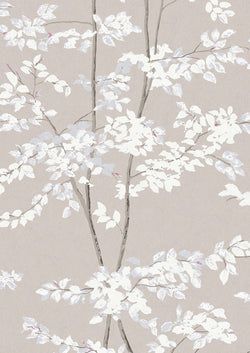 Linen