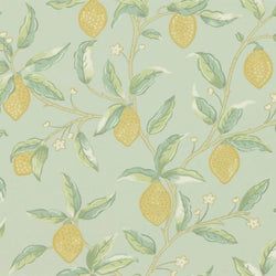 Color – Sage