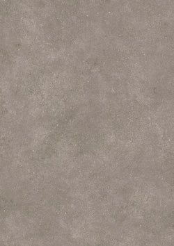 Color – Bark