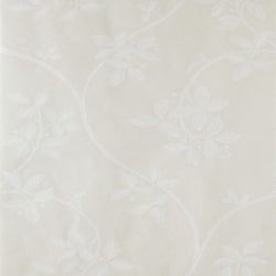 Color – White