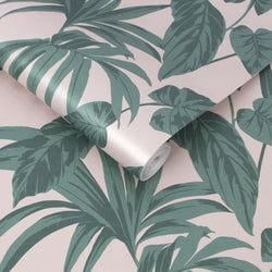 Color – Blush