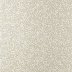 Color – Cream
