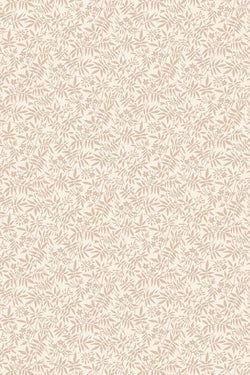 Color – Setting Plaster