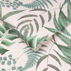 Color – Blush