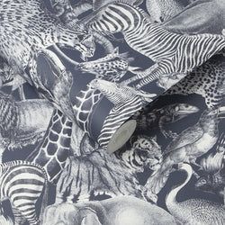 Color – Gecko
