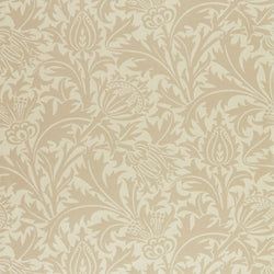 Color – Linen