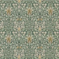 Color – Forest/Thyme