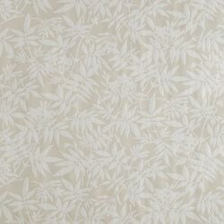 Color – Cream