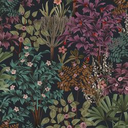Color – Black