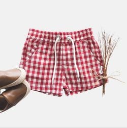 Colour – Red Check