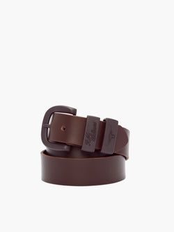Colour – Chocolate