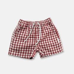 Colour – Red Check