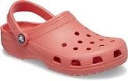 Neon Watermelon