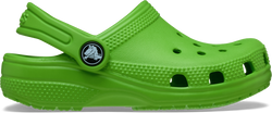 Colour – Croc Green