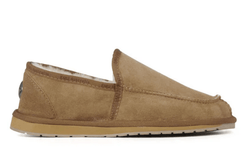 Colour – Chestnut