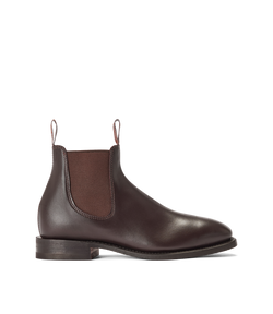 Colour – Chestnut