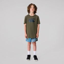 Colour – Olive Night