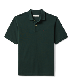 Colour – Pine