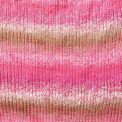 Colour – Rose Garden