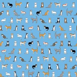 Cats On Blue