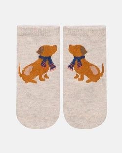 Colour – Puppy Dog