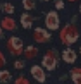 Color: – Deco Roses