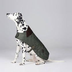 Barbour Dog Jumpers – Olive