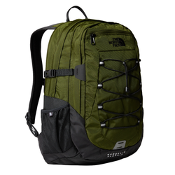 Colour – Woodland Green
