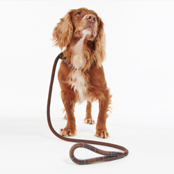 Barbour Dog Leads – Tartan Trimmed Slip Lead