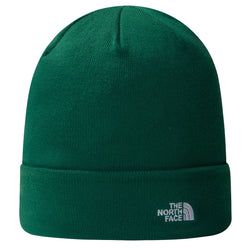 Colour – Evergreen