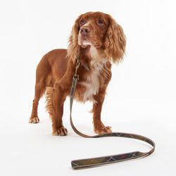 Barbour Dog Leads – Reflective Lead | Classic Tartan