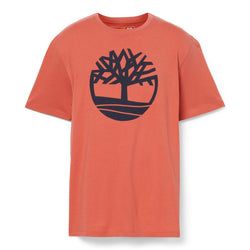 Colour – Orange