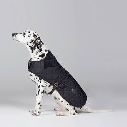 Barbour Dog Jumpers – Black