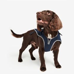 Barbour Dog Jumpers – Monmouth Waterproof Dog Coat | Navy