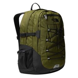 Colour – Forest Olive