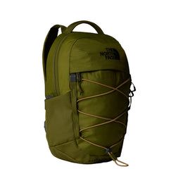 Colour – Forest Olive