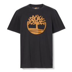 Colour – Black