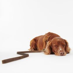 Barbour Dog Leads – Leathe Lead | Brown