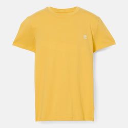 Colour – Light Yellow