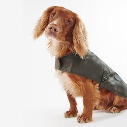 Barbour Dog Jumpers – Olive
