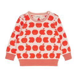 Colour – Tomato