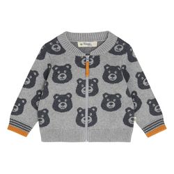 Colour – Grey Bear