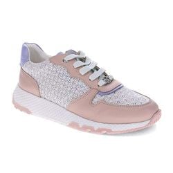 Pastel Multi