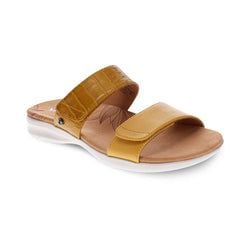 Mustard French/Croc