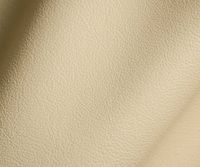 Color – Cream