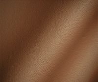 Color – Chestnut Brown