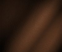 Chestnut Brown