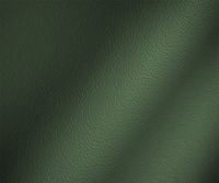 Color – Royal Green