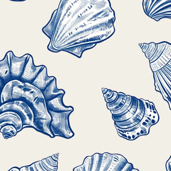 Nautical Shells